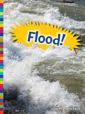cover image of Flood!